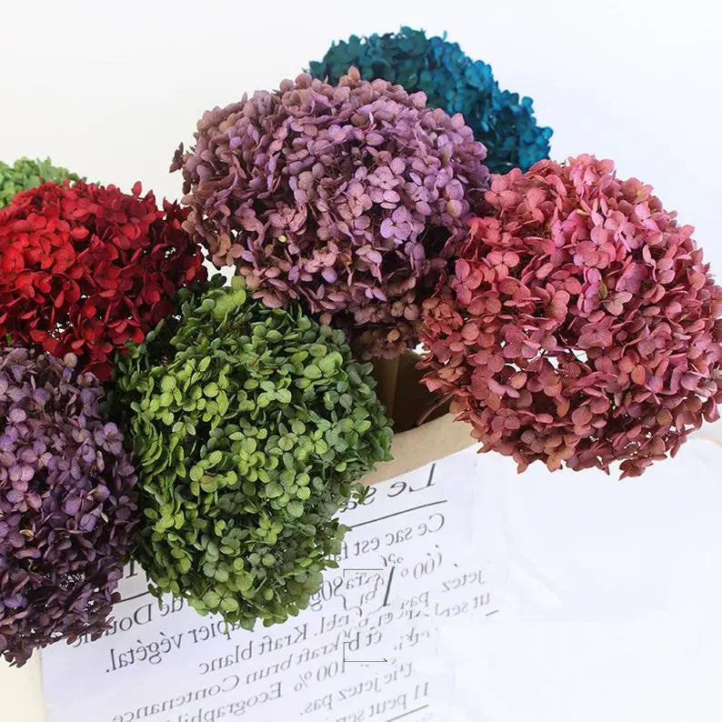 wholesale real touch hydrangea bouquet flower heads hortensias bush purple dried preserved hydrangea