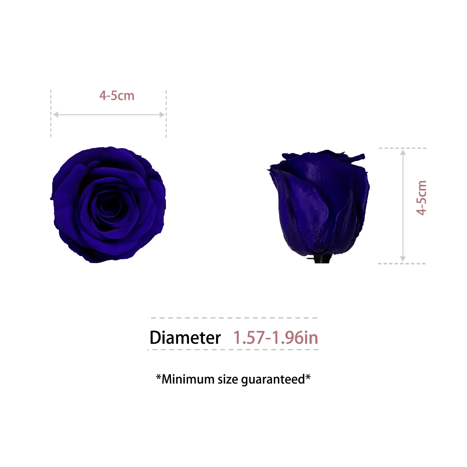 Infinity Long Lasting Dried Forever Eternal Flower Buds Preserved Roses Head for Flower Decoration