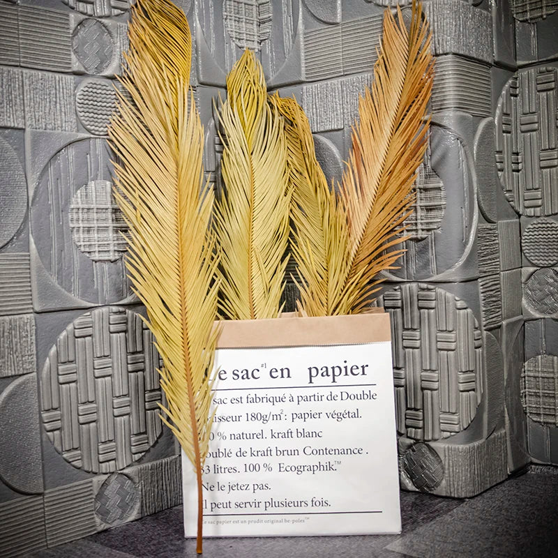 Floral Arrangement Wedding Decorative Dry Cycas Revoluta Preserved Tall Natural Leaf Dried Sago Palm Leaves