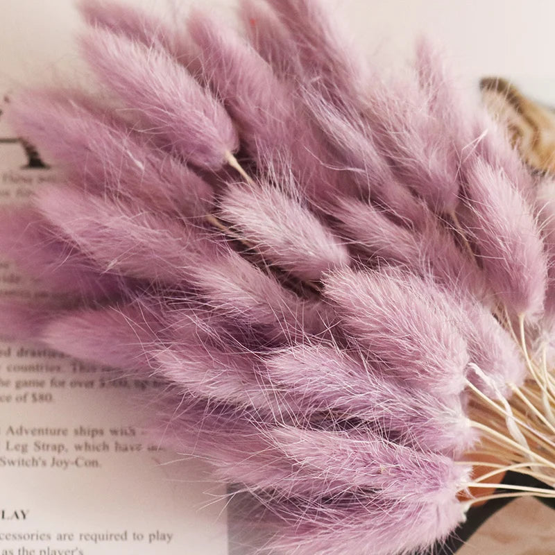 Boho Wedding Decor Bridal Bouquet Dusty Pink Dried Flowers 60 Natural Phalaris Lagurus Dried Bunny Tails