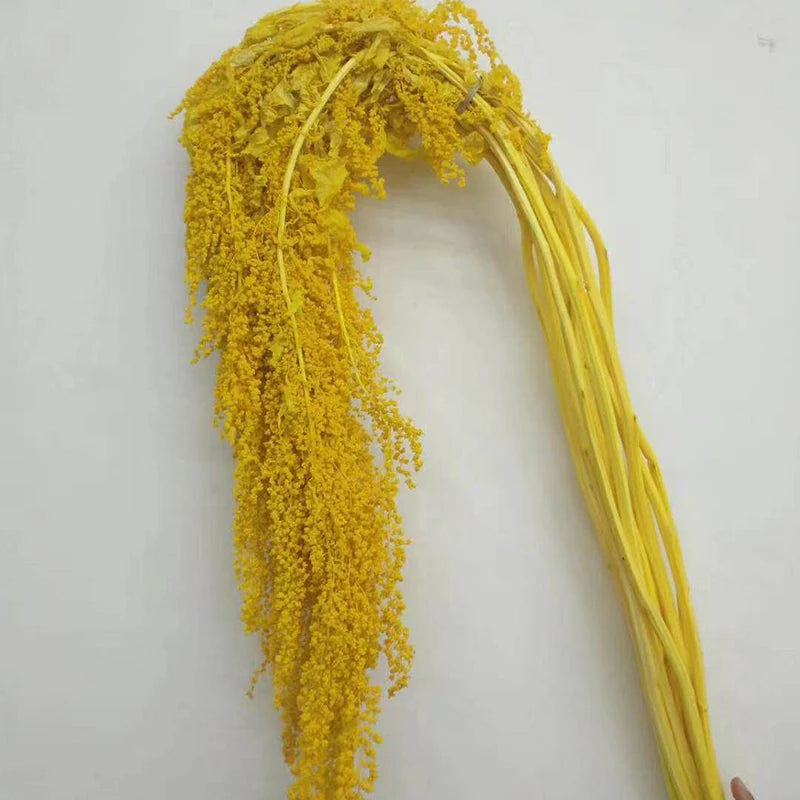 Factory Direct Price Decorative Dried Flowers Real Long Lasting Red Hanging Amaranthus for Wedding Bouquet