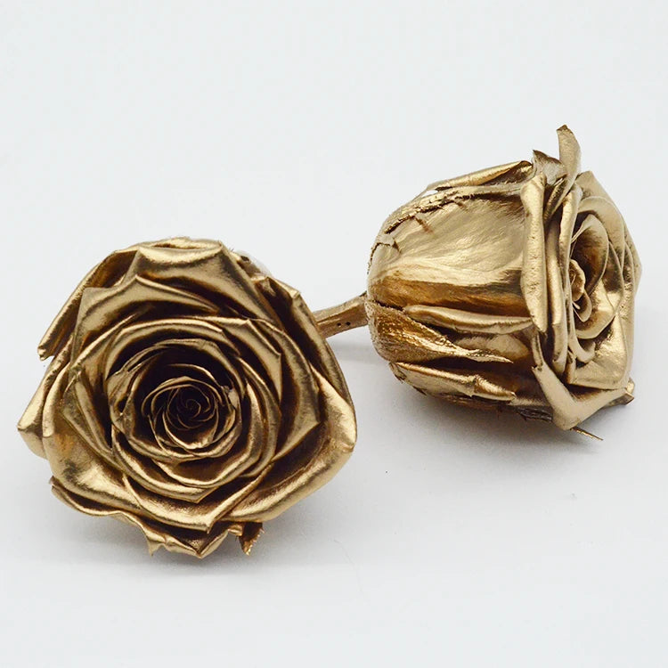 Wholesale 24k Gold Plated Long  Lasting 5-6cm Preserved  Roses Flower