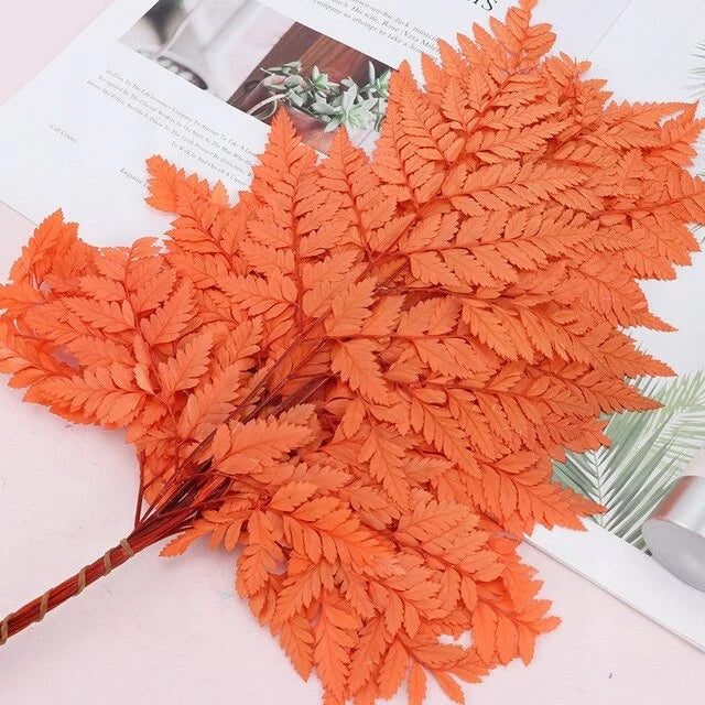10pcs Natural Fresh Eternal Flower Preserved Fiddlehead Ferns Leaves for Wedding Dome Decoration Accessories
