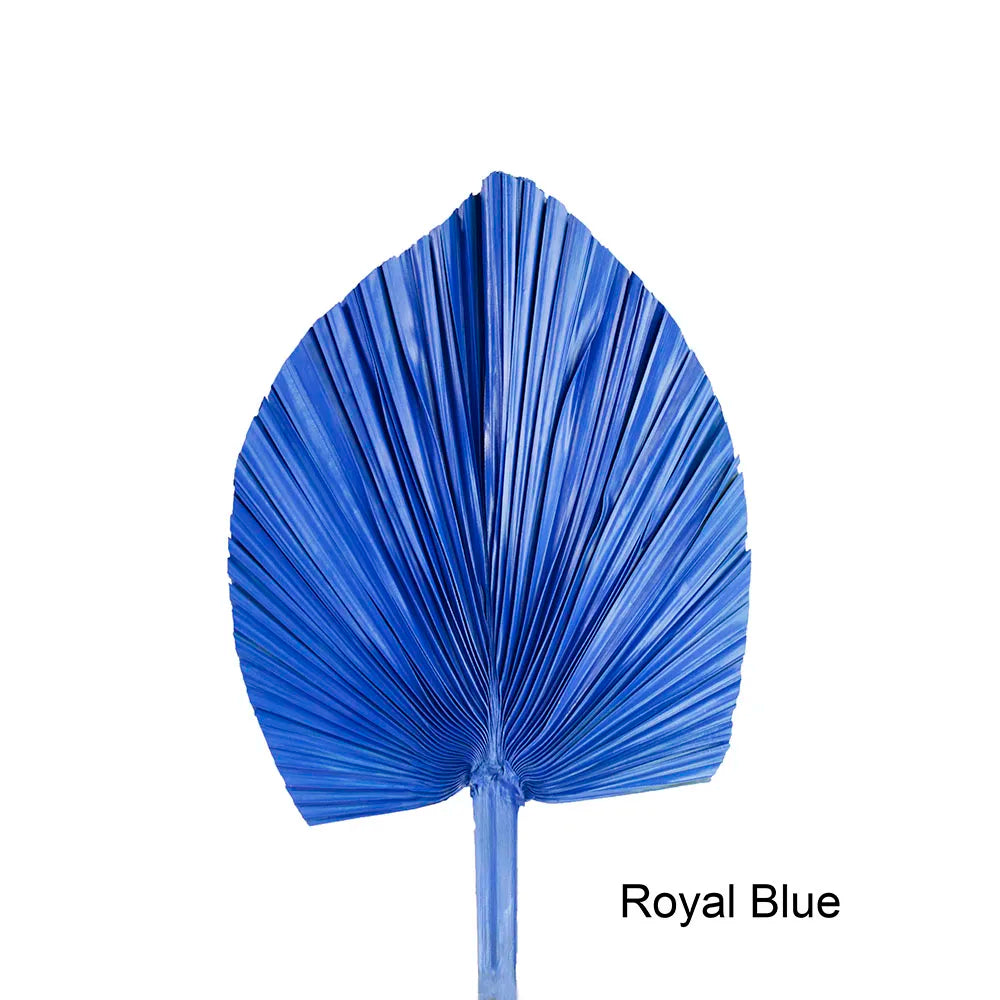 Wholesale Real Natural Blue Palm Spears Preserved Arrow Foliage Stabilized Plants Dried Palm Leaves