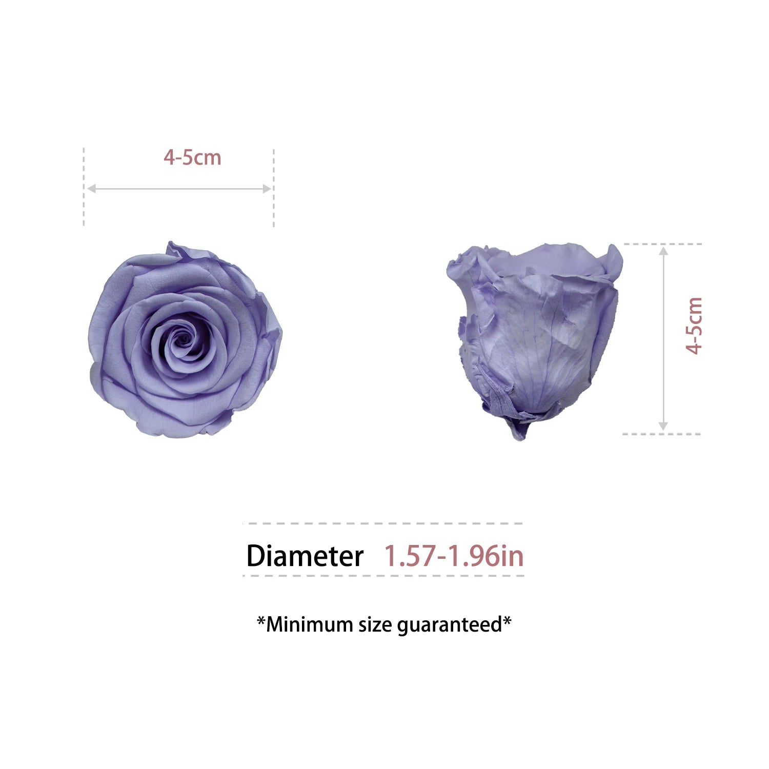 Infinity Long Lasting Dried Forever Eternal Flower Buds Preserved Roses Head for Flower Decoration
