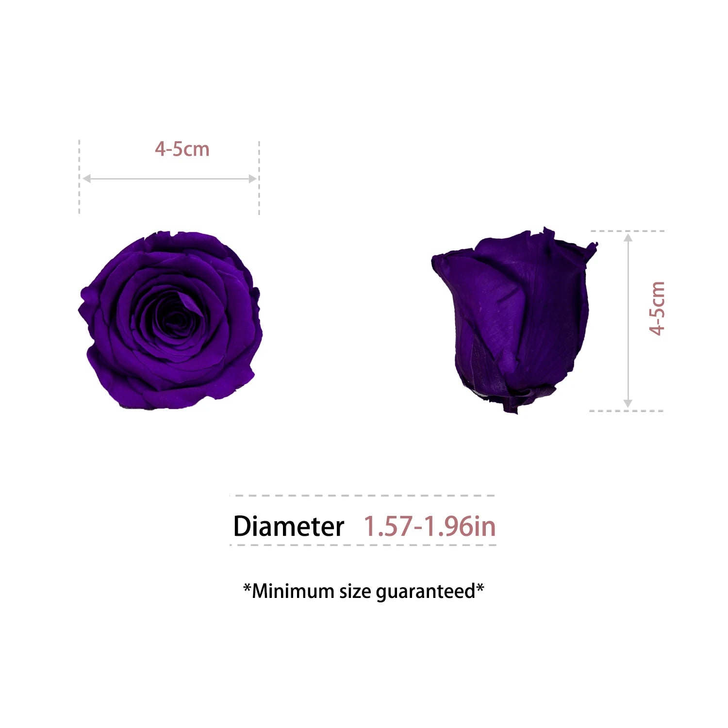 Infinity Long Lasting Dried Forever Eternal Flower Buds Preserved Roses Head for Flower Decoration