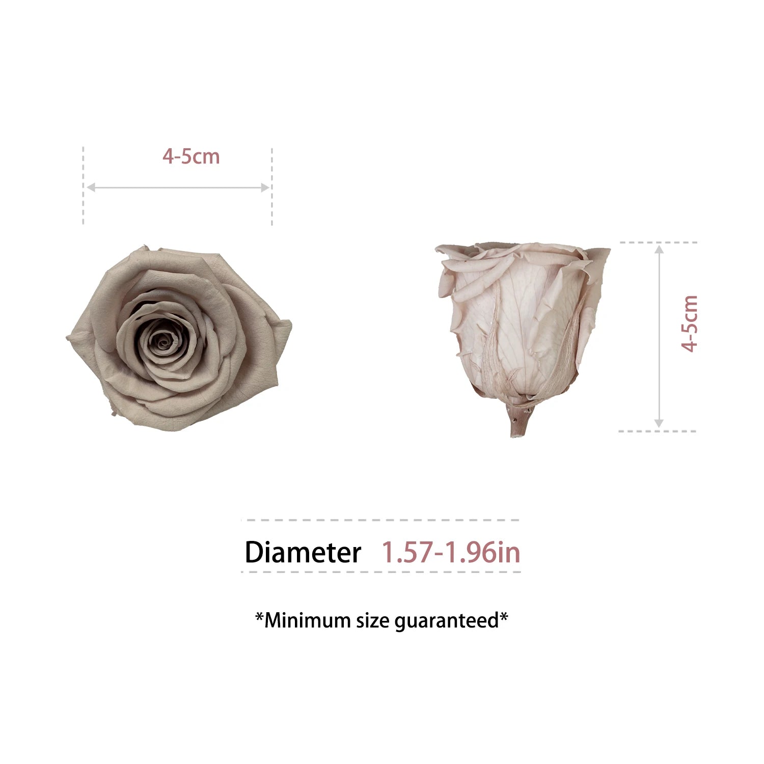 Infinity Long Lasting Dried Forever Eternal Flower Buds Preserved Roses Head for Flower Decoration