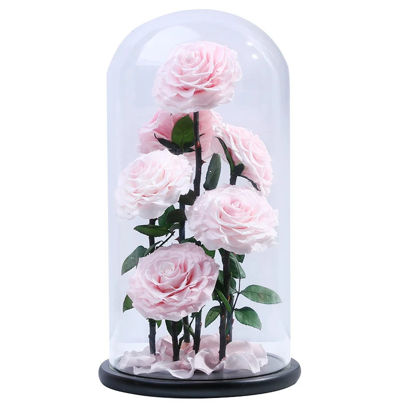 wholesale best quality six preserved rose  in glass christmas gift