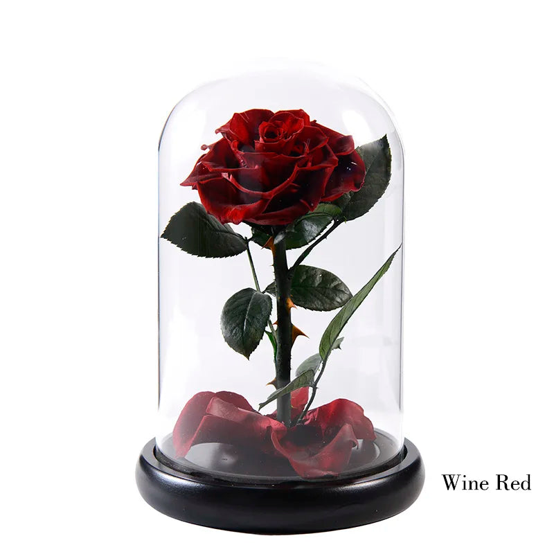 Wholesale Flor Eterna Preservada Glass Dome Black Single Preserved Beast Rose with flower long stem