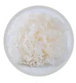 Wholesale High Quality Preserved Carnation Eternal Forever Fresh Flowers for Holiday Gift