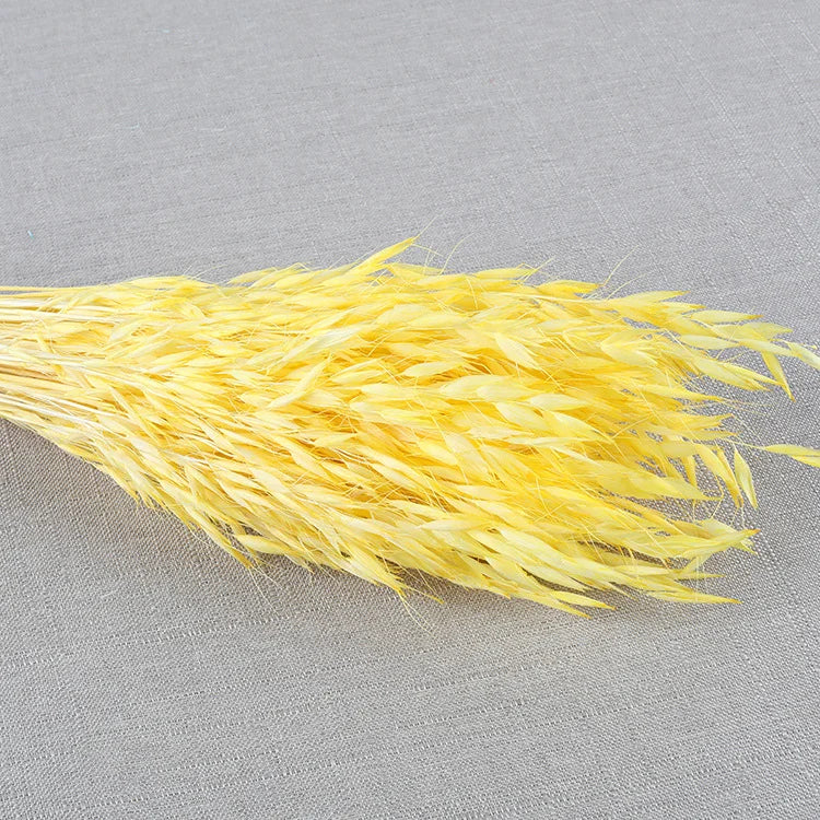 Factory Decorative Flowers White Avena Bunch Head Dried Oats For Home Wedding Decor