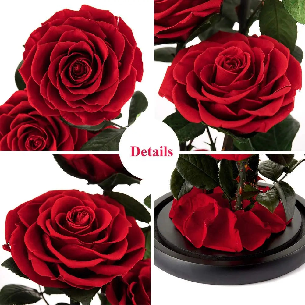 Wholesale Cheap Price Handmade Beauty Beast Rose long lasting Preserved flowers in Glass tube