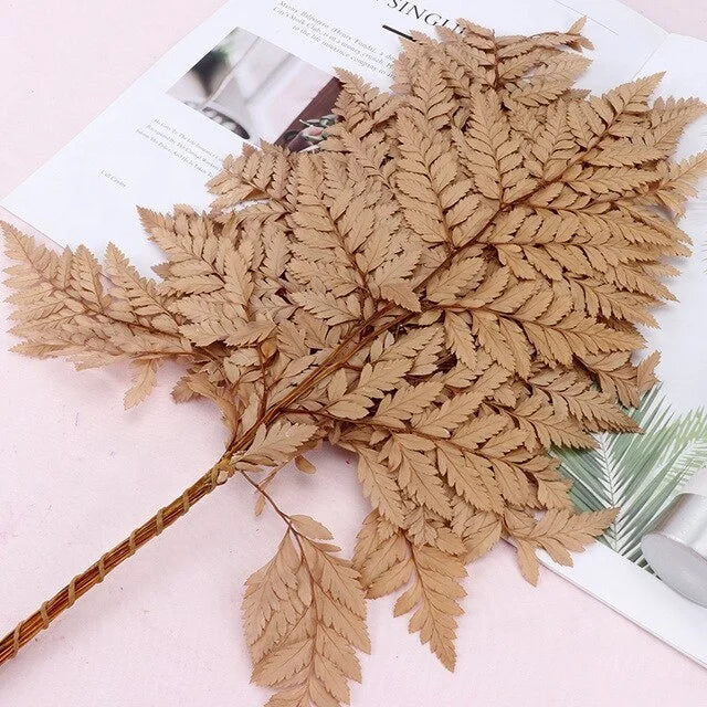 10pcs Natural Fresh Eternal Flower Preserved Fiddlehead Ferns Leaves for Wedding Dome Decoration Accessories