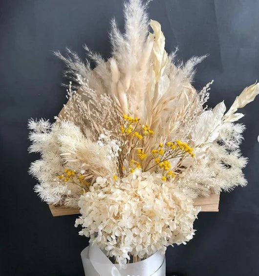 Boho Decor Bunny tails Pampass Dried Flower Arrangements Lagurus Ovatus Tall Pampas Pompas Grass Bouquet