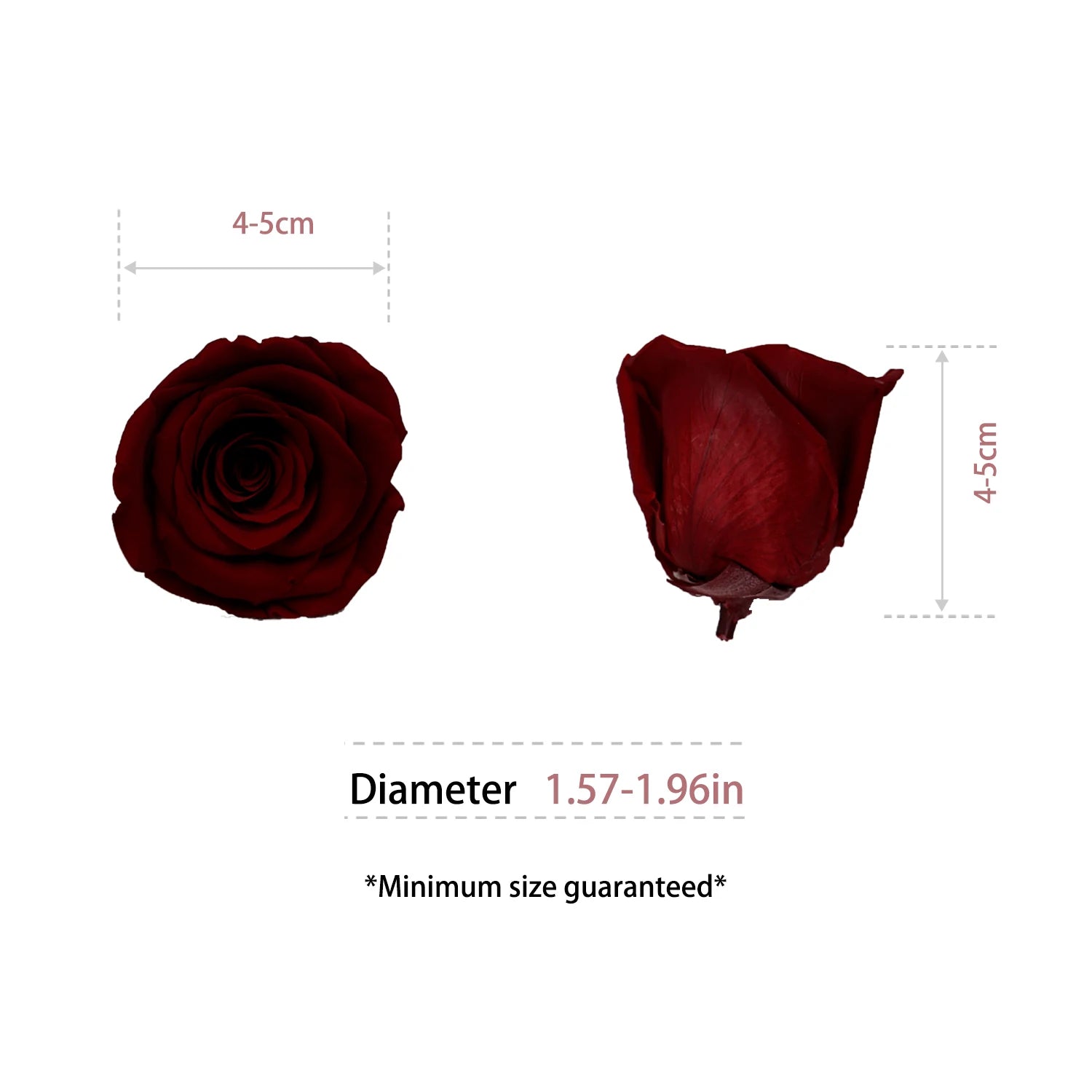 Infinity Long Lasting Dried Forever Eternal Flower Buds Preserved Roses Head for Flower Decoration