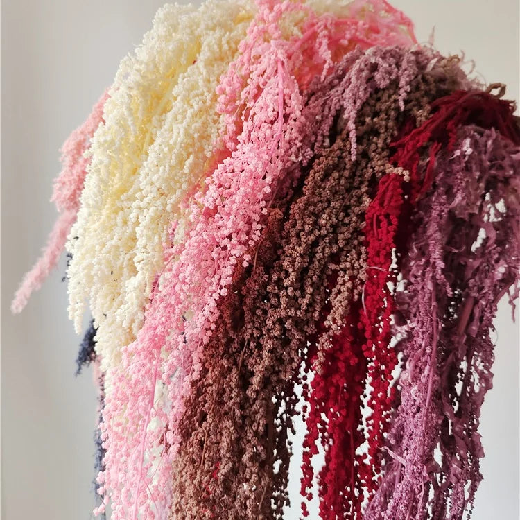 DIY Flower Material Decor Arrangement  Dried Flowers Bleached Hanging Preserved Lover's Tear Amaranthus