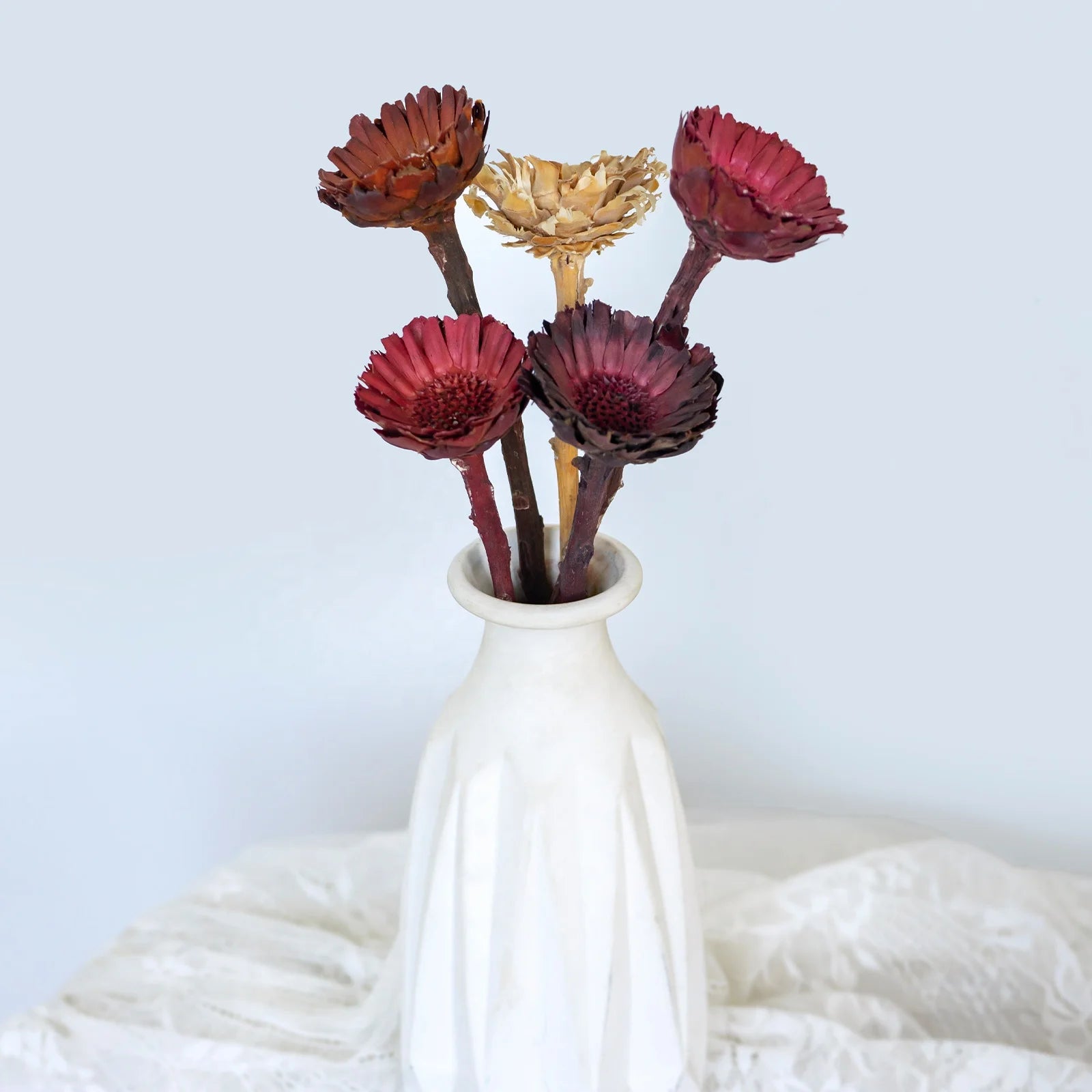 Natural Dried Flowers Fall Decor Protea Compacta Branches Dried Protea Rosette