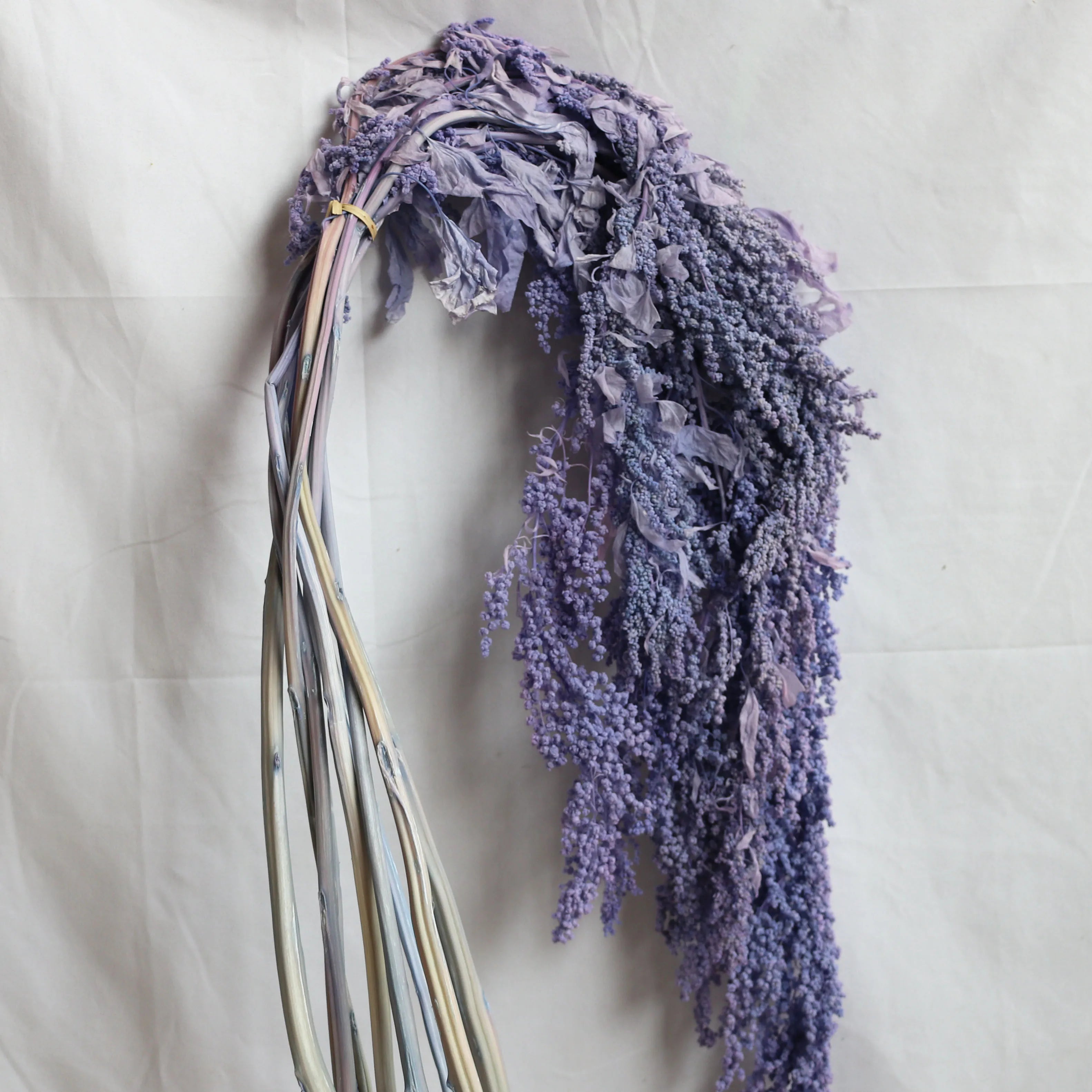 Ins Hot Selling DIY Material Dried Flowers Arrangement Cheap Natural White Preserved Hanging Amaranthus For Decoration