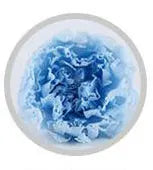Wholesale High Quality Preserved Carnation Eternal Forever Fresh Flowers for Holiday Gift