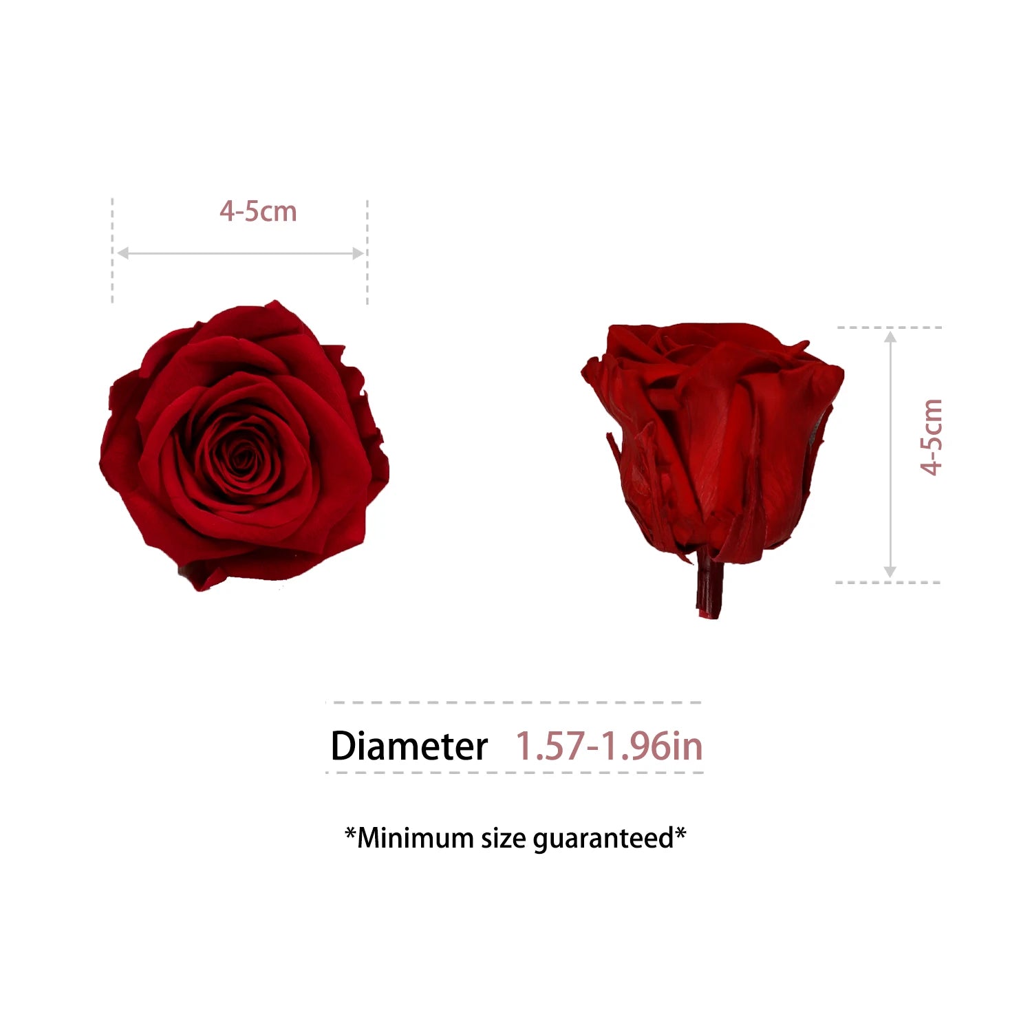 Factory Wholesale Preserved Flowers Eternity Roses Eternal Forever Roses Heads 4-5cm Preserved Rose Head