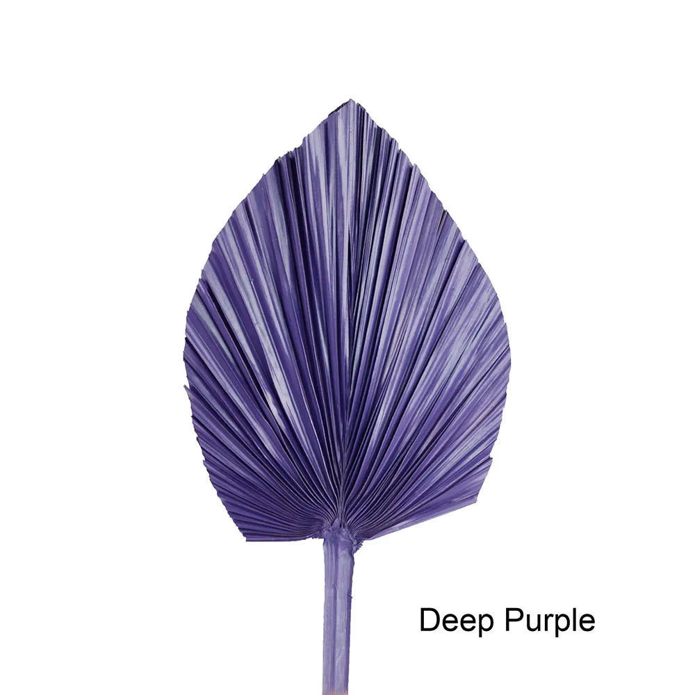 Wholesale Real Natural Blue Palm Spears Preserved Arrow Foliage Stabilized Plants Dried Palm Leaves