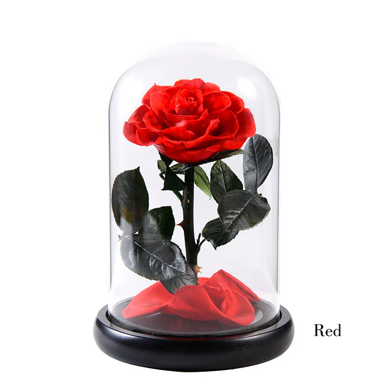 Wholesale Flor Eterna Preservada Glass Dome Black Single Preserved Beast Rose with flower long stem