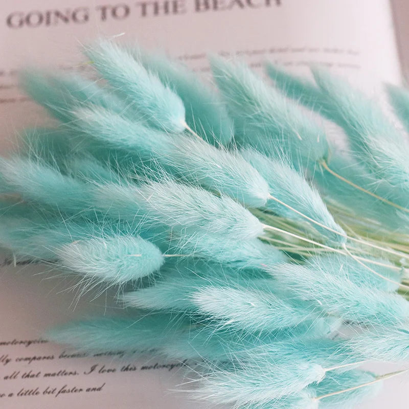 Factory Supply High Quality New Orange Gold Color Natural Phalaris Lagurus Dried Round Bunny Tails Flower