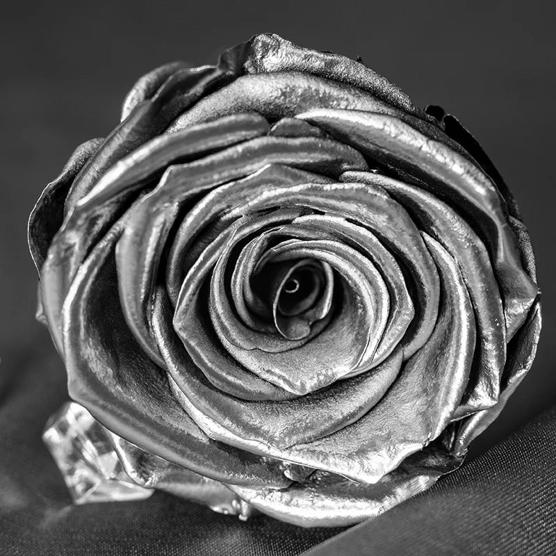 Hot Selling Everlasting Rose Flower Preserved Rose Head Silver Gold Rose Preserved Forever Flower Head