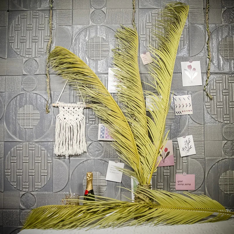 Floral Arrangement Wedding Decorative Dry Cycas Revoluta Preserved Tall Natural Leaf Dried Sago Palm Leaves