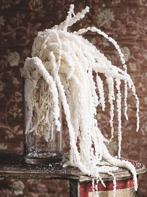 DIY Flower Material Decor Arrangement  Dried Flowers Bleached Hanging Preserved Lover's Tear Amaranthus