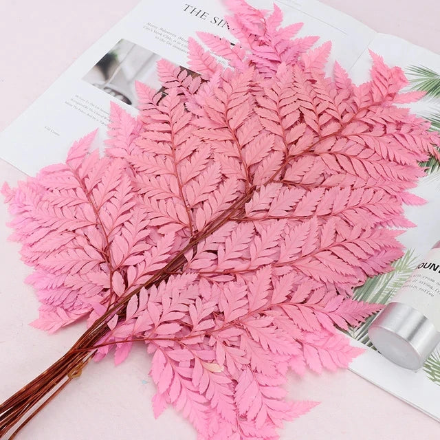 10pcs Natural Fresh Eternal Flower Preserved Fiddlehead Ferns Leaves for Wedding Dome Decoration Accessories