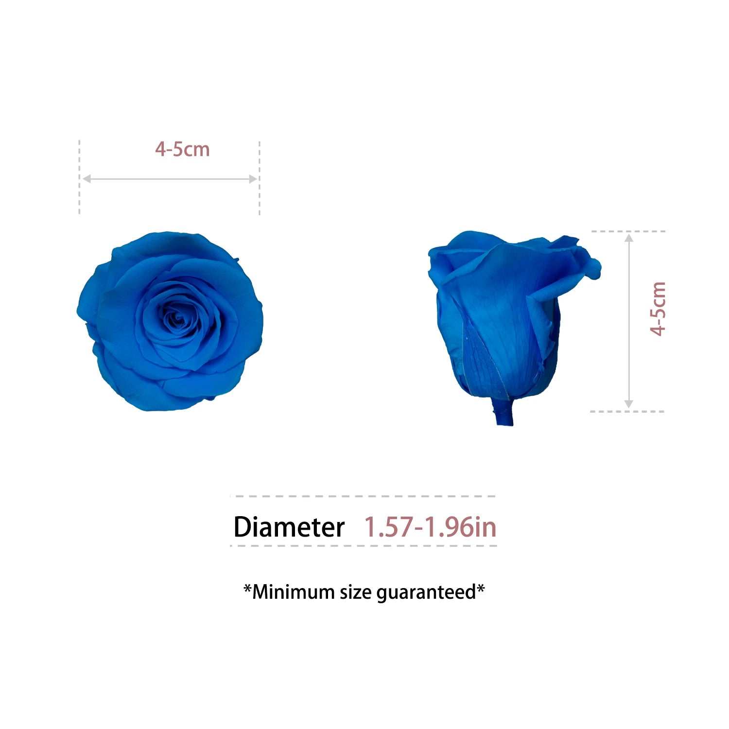 Infinity Long Lasting Dried Forever Eternal Flower Buds Preserved Roses Head for Flower Decoration