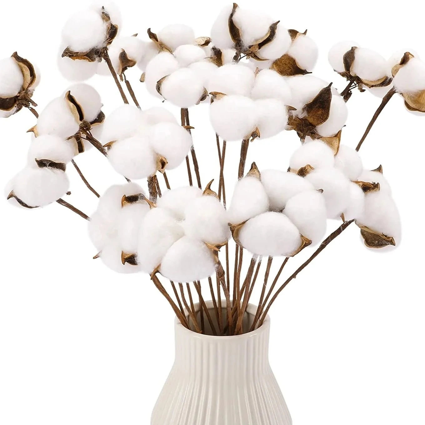 Natural One Cotton Branch Fall Decorative Dried Flowers White Cotton Stems For Floral Arrangements
