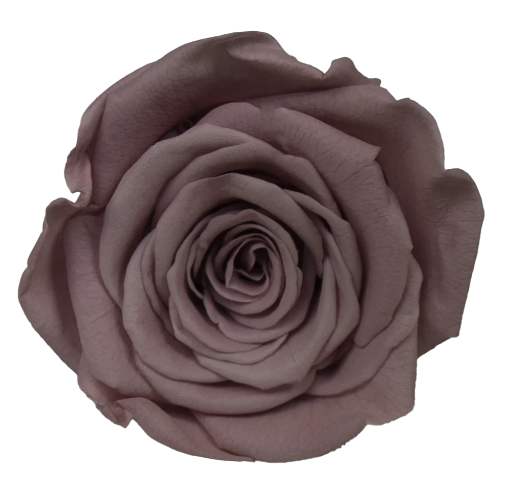 Factory Wholesale Preserved Flowers Eternity Roses Eternal Forever Roses Heads 4-5cm Preserved Rose Head