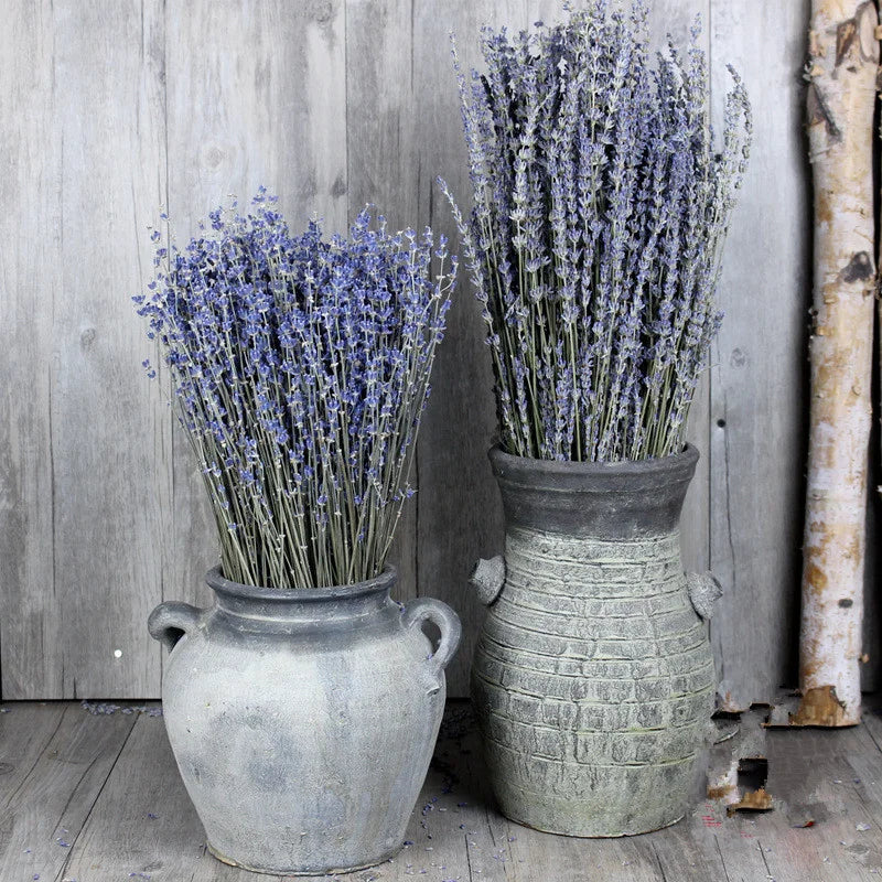 Dry Real  Natural Plant Dried Reed Flower Dried Provence Lavender Bunches for Arrangements