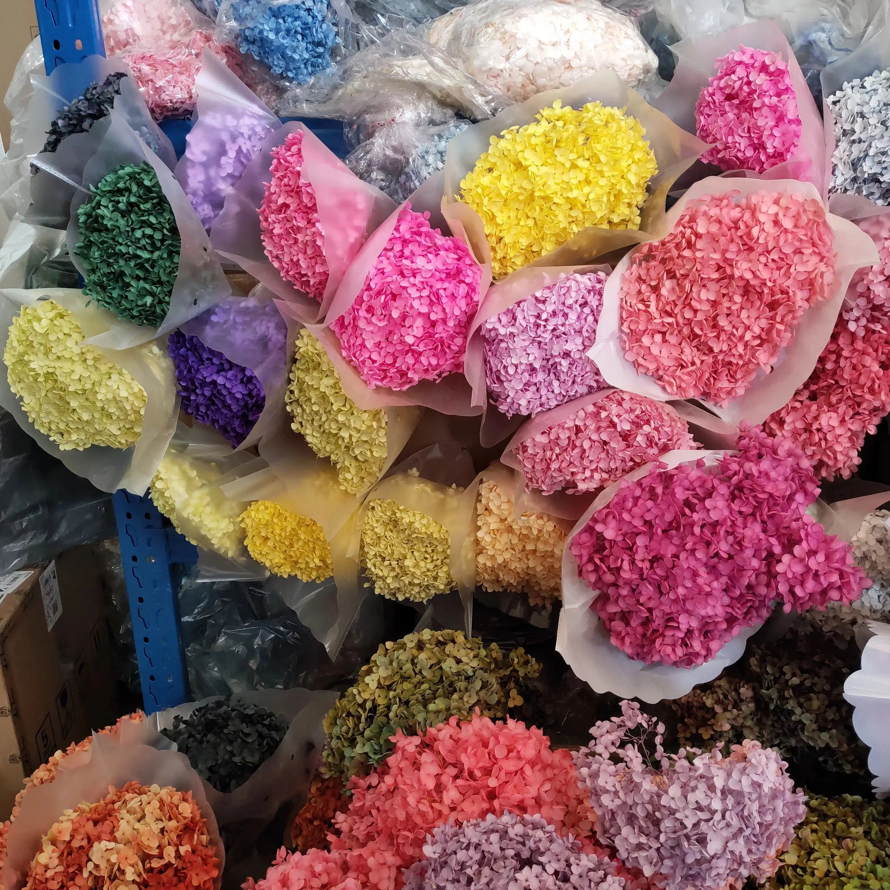 wholesale real touch hydrangea bouquet flower heads hortensias bush purple dried preserved hydrangea