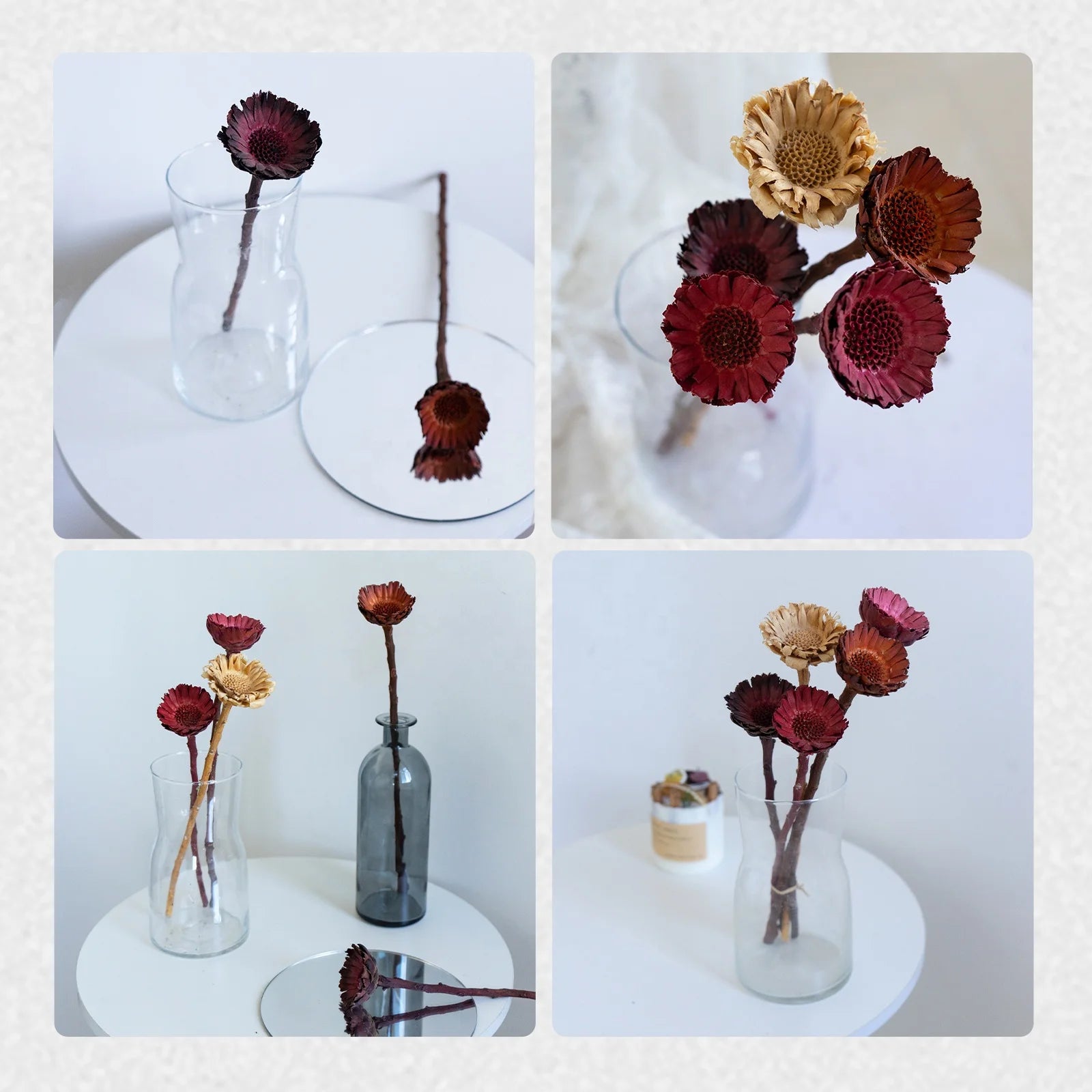 Natural Dried Flowers Fall Decor Protea Compacta Branches Dried Protea Rosette