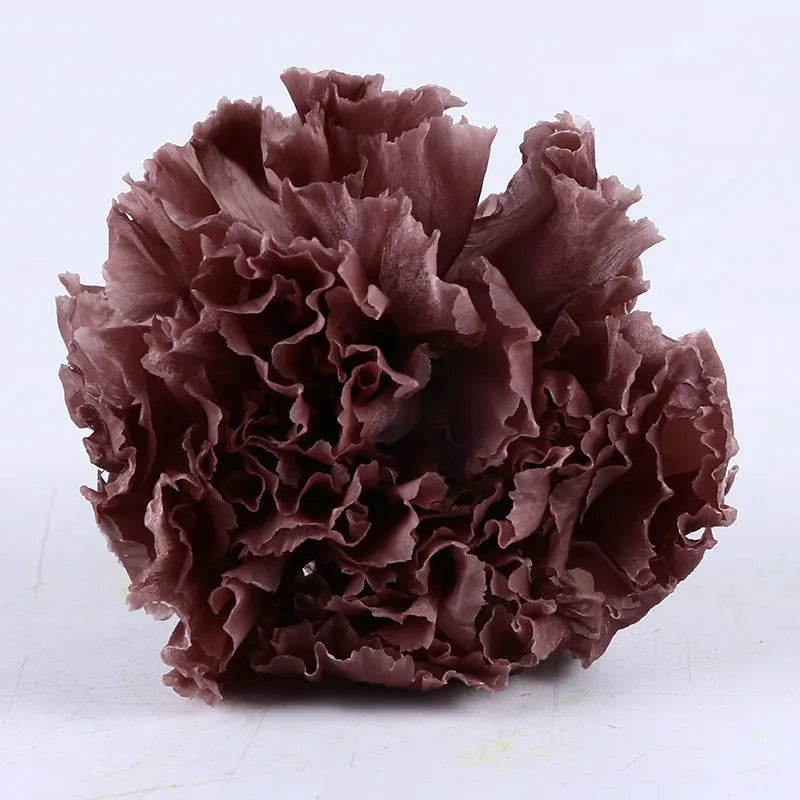 Wholesale High Quality Preserved Carnation Eternal Forever Fresh Flowers for Holiday Gift