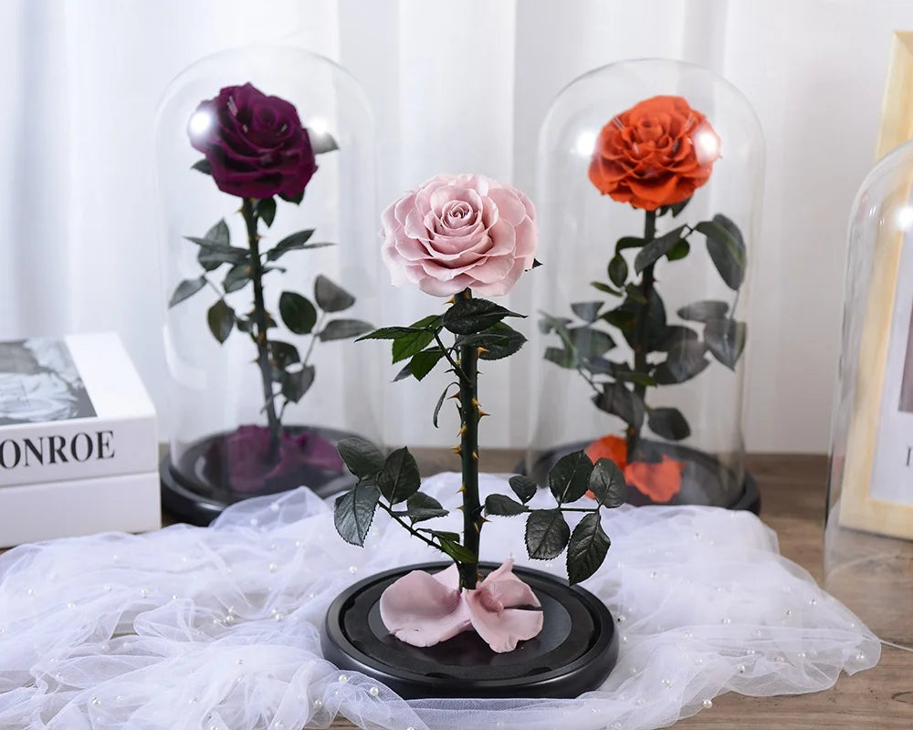 Original Factory Wholesale Price Beauty and The Beast Eternal Flower Preserved Roses in Glass Dome