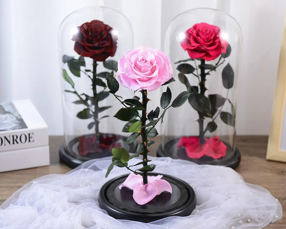 Original Factory Price Red Real Long Stem Glass Flower Little Prince Eternal Preserved Roses in Glass Tube