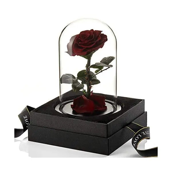 Wholesale Cheap Price Handmade Beauty Beast Rose long lasting Preserved flowers in Glass tube