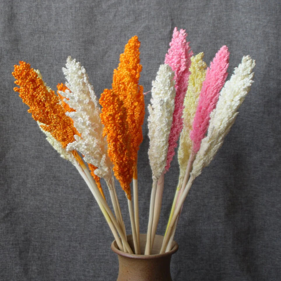 Decorative flowers Arrangement Real Natural Dried Broom Corn Dried Grains Sprays Bleached Sorghum Flowers