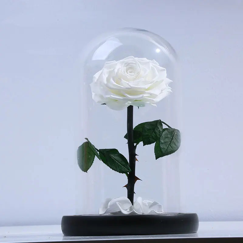 A grade beautiful enchanted preserved flowers in glass princekin festival gift