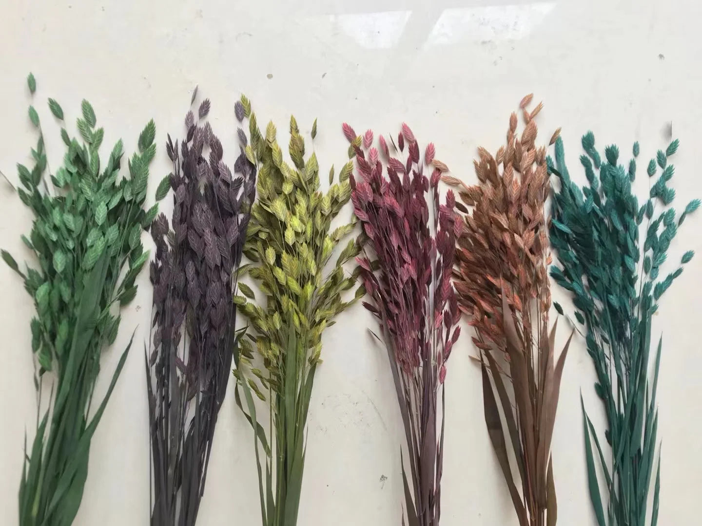 Natural Decorative Dried Flowers Bouquets Grass Floral Northern Sea Oats Preserved Chasmanthium Latifolium