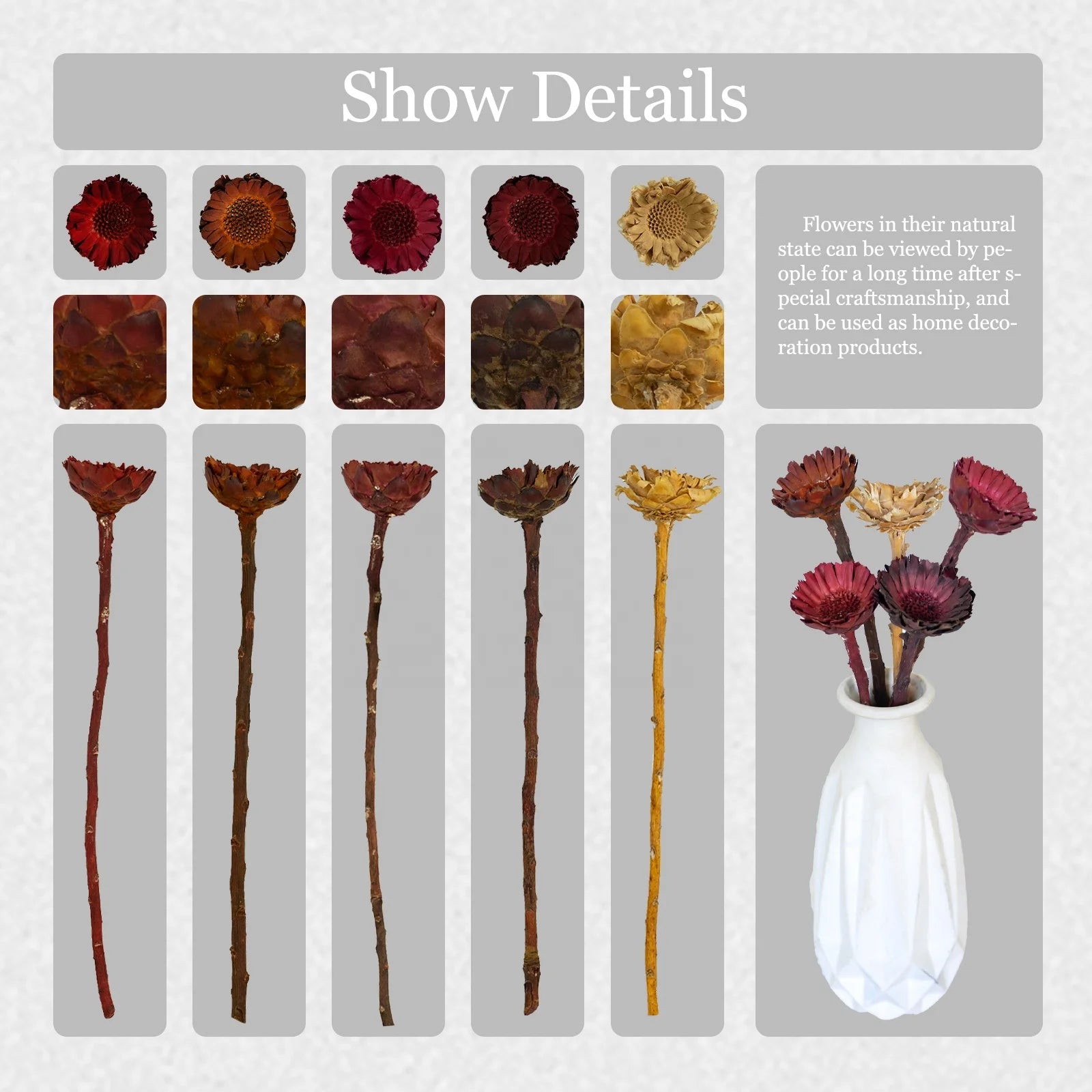 Natural Dried Flowers Fall Decor Protea Compacta Branches Dried Protea Rosette