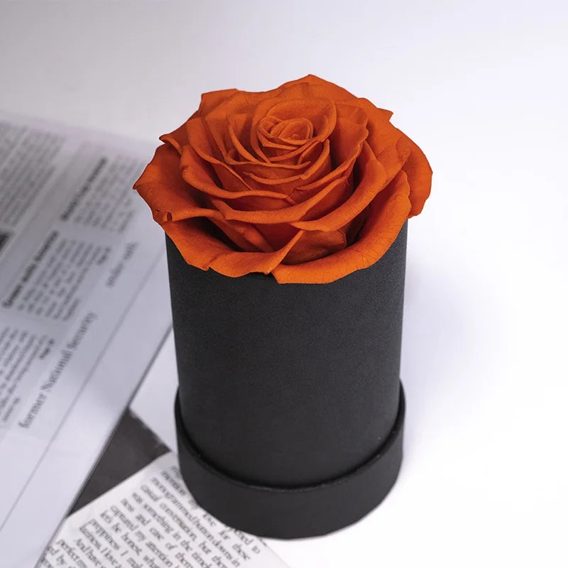 Hot Real Natural  Everlasting Eternal Single Preserved Roses for Valentine Gifts