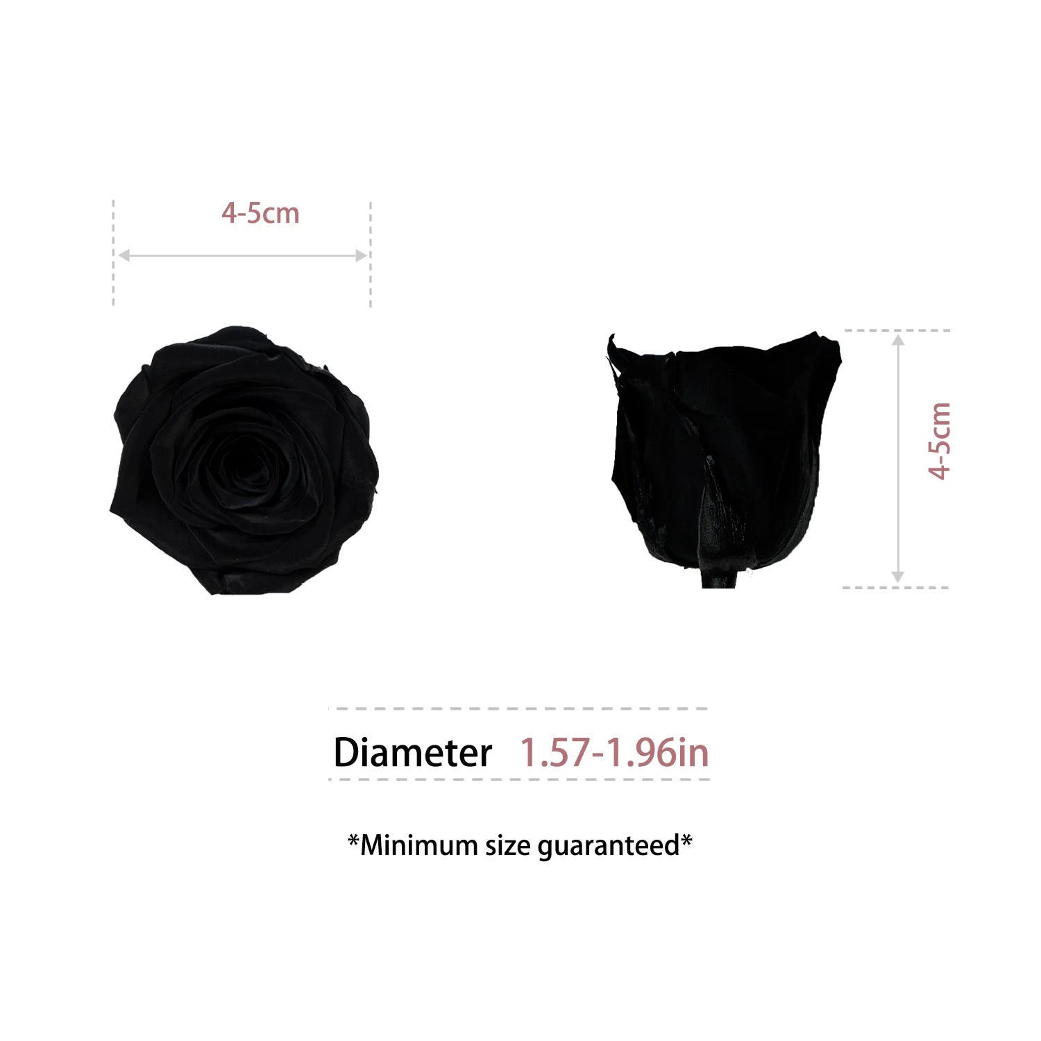 Factory Wholesale Preserved Flowers Eternity Roses Eternal Forever Roses Heads 4-5cm Preserved Rose Head