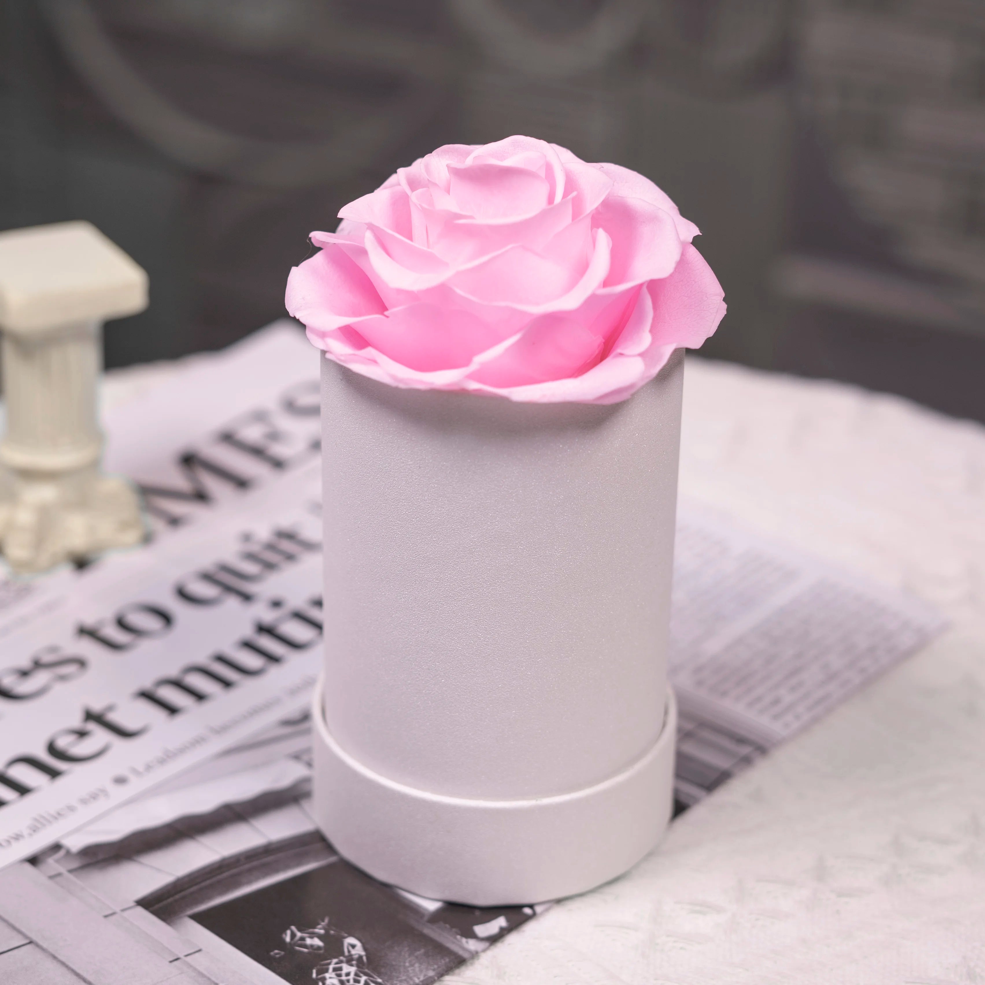 Hot Real Natural  Everlasting Eternal Single Preserved Roses for Valentine Gifts