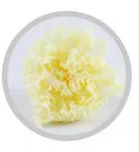 Wholesale High Quality Preserved Carnation Eternal Forever Fresh Flowers for Holiday Gift