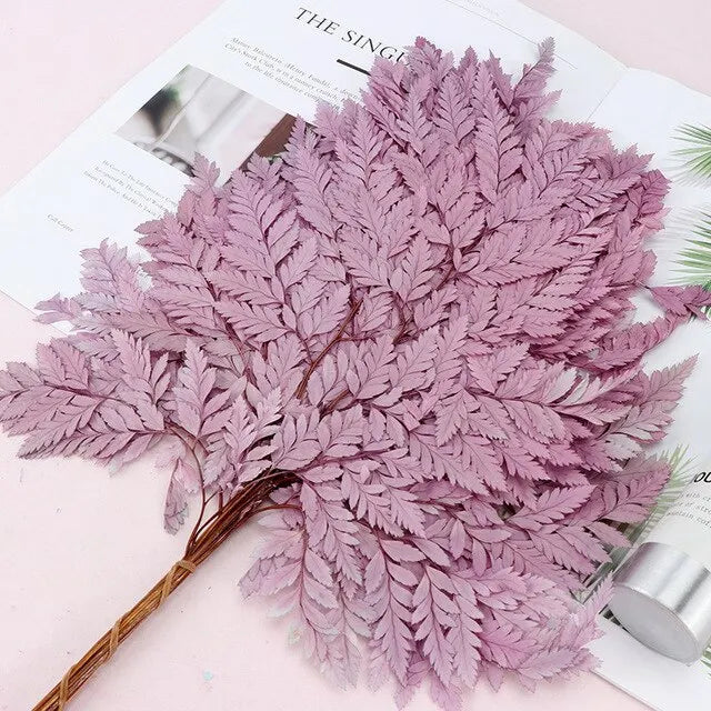 10pcs Natural Fresh Eternal Flower Preserved Fiddlehead Ferns Leaves for Wedding Dome Decoration Accessories